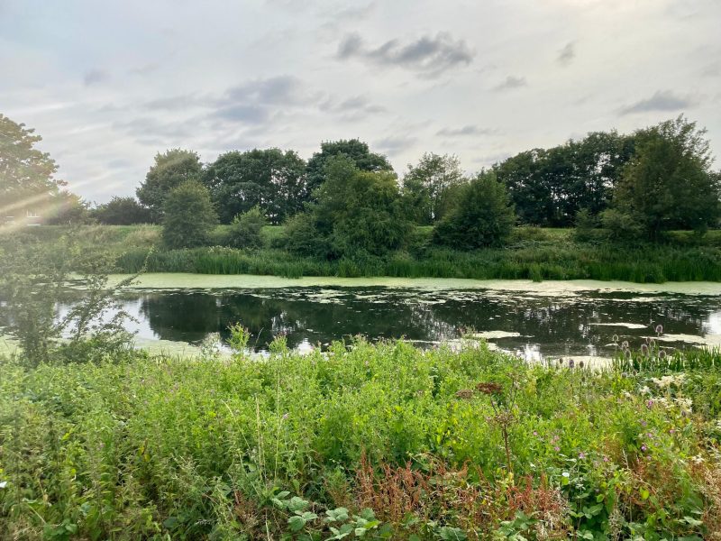 Fox Leisure site - Lincolnshire - 4128
