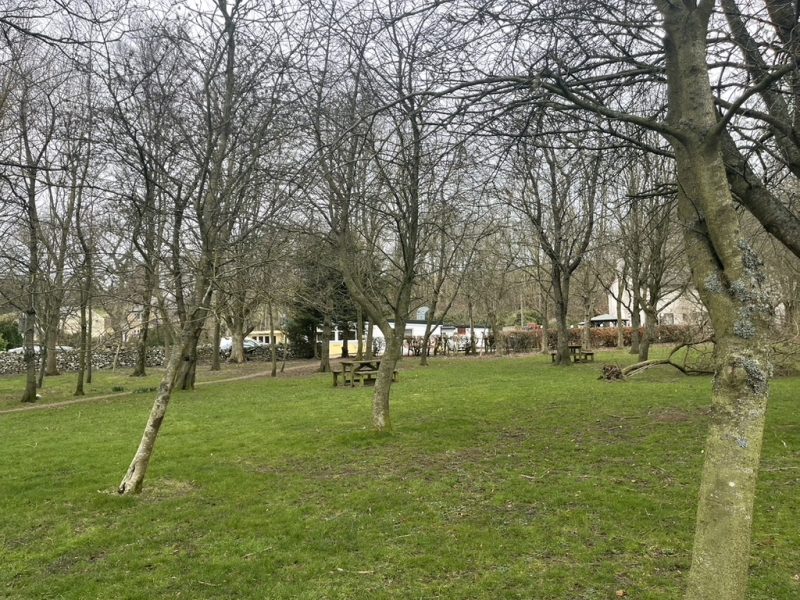 Fox Leisure site - Scottish Borders - 4086