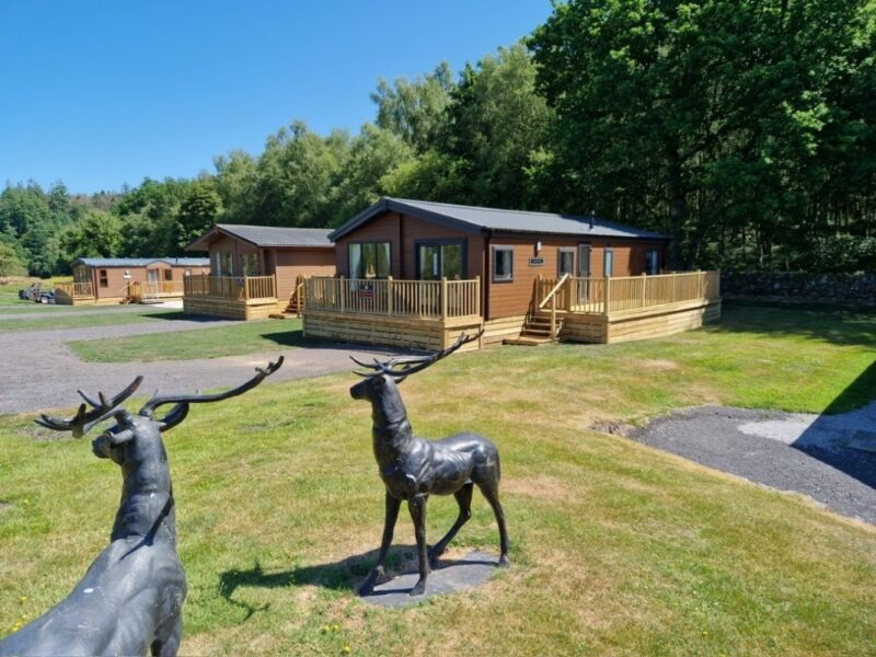 Fox Leisure site - Dumfries & Galloway - 4301