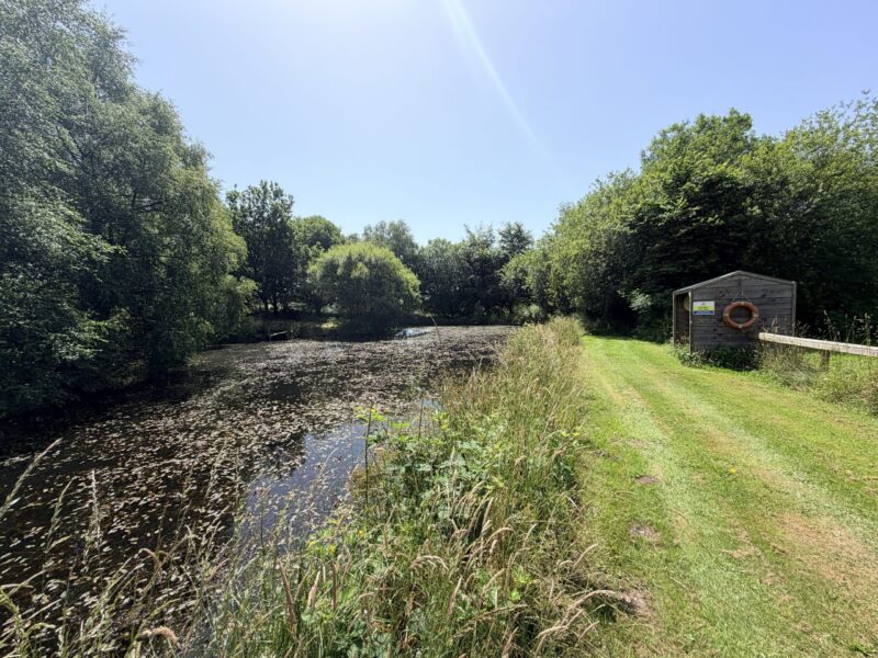 Fox Leisure site - Ceredigion - 4300